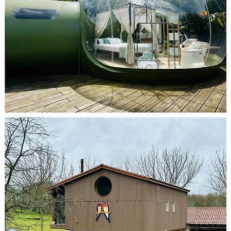 Remanso De Trasfontao Casa Das Arbores & Bubble ซีเญดา ภายนอก รูปภาพ