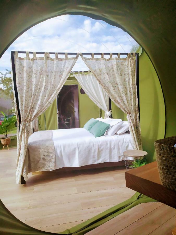 Remanso De Trasfontao Casa Das Arbores & Bubble ซีเญดา ภายนอก รูปภาพ