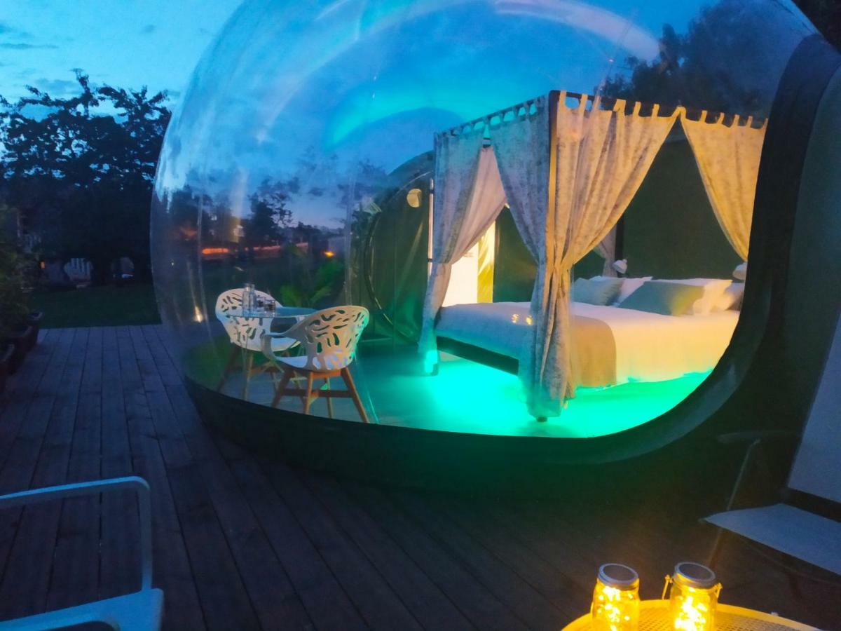 Remanso De Trasfontao Casa Das Arbores & Bubble ซีเญดา ภายนอก รูปภาพ