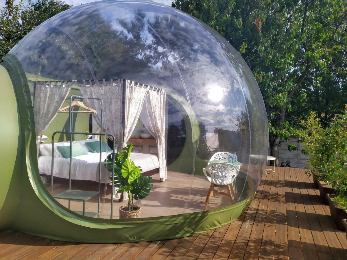 Remanso De Trasfontao Casa Das Arbores & Bubble ซีเญดา ภายนอก รูปภาพ