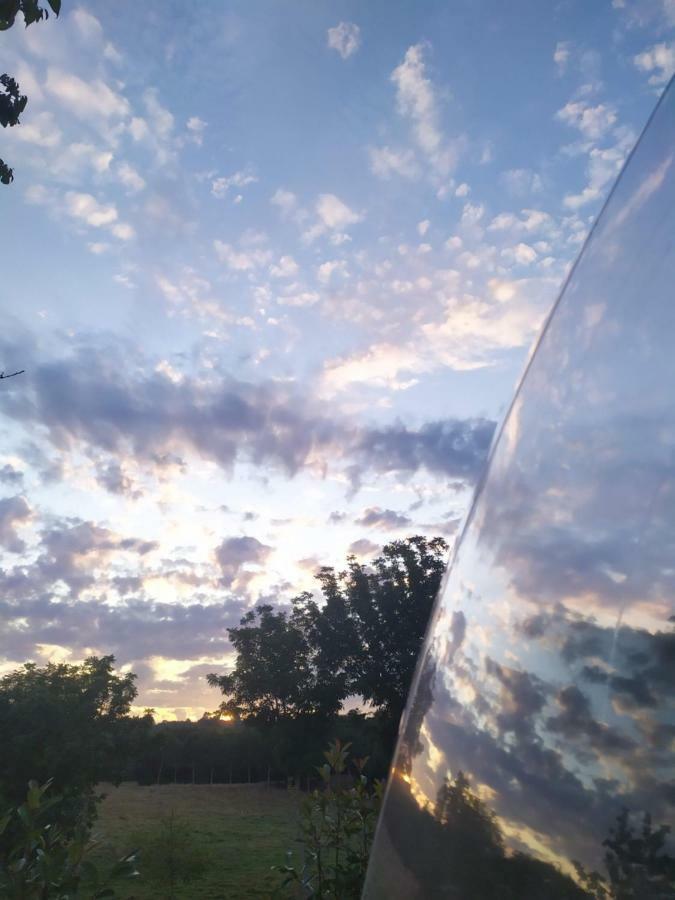 Remanso De Trasfontao Casa Das Arbores & Bubble ซีเญดา ภายนอก รูปภาพ