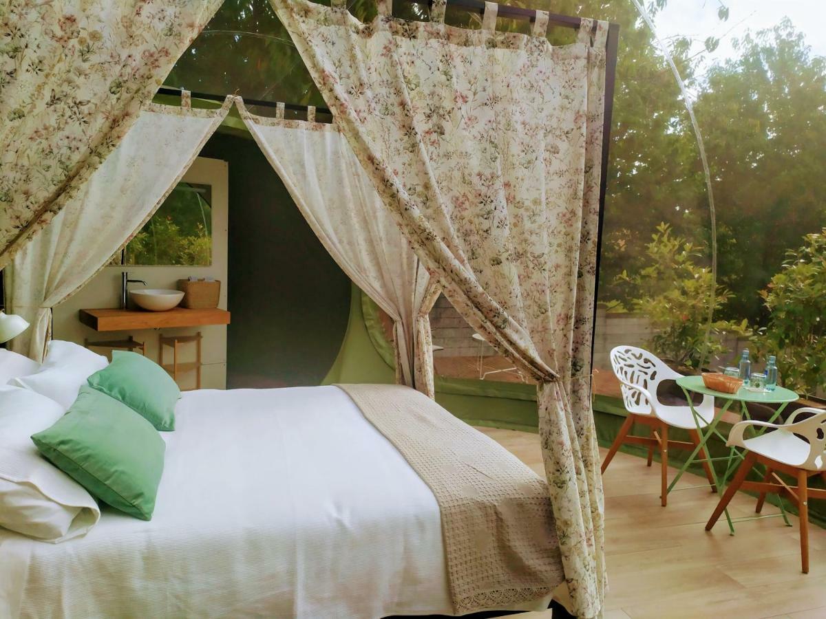 Remanso De Trasfontao Casa Das Arbores & Bubble ซีเญดา ภายนอก รูปภาพ