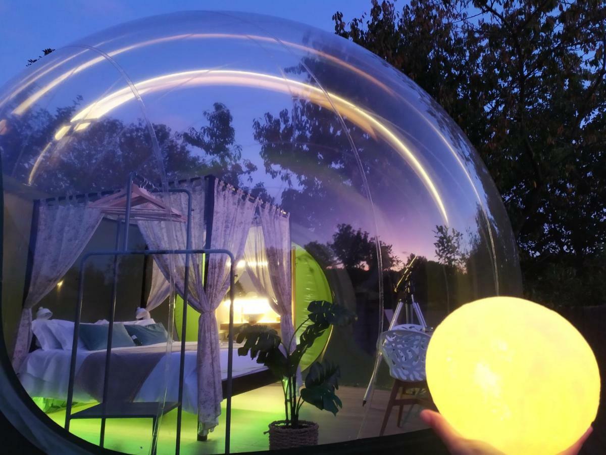 Remanso De Trasfontao Casa Das Arbores & Bubble ซีเญดา ภายนอก รูปภาพ