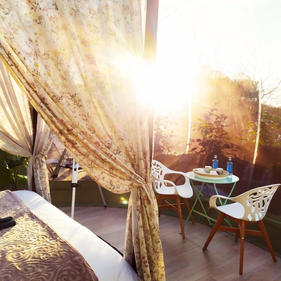 Remanso De Trasfontao Casa Das Arbores & Bubble ซีเญดา ภายนอก รูปภาพ