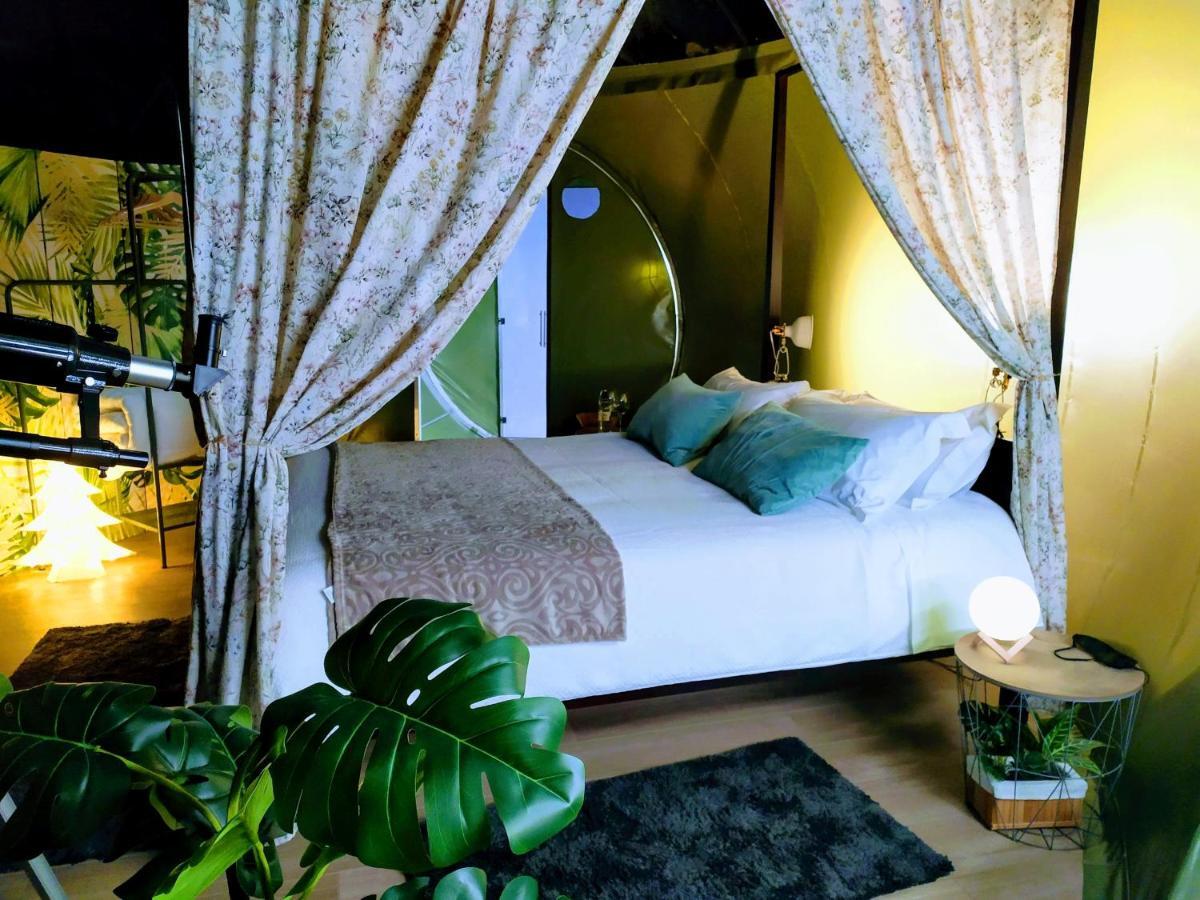 Remanso De Trasfontao Casa Das Arbores & Bubble ซีเญดา ภายนอก รูปภาพ
